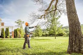 Best Lawn Maintenance Plans  in Santa Clara, NM